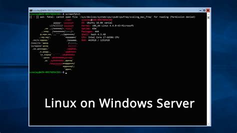 Install Linux Subsystem on Windows Server .